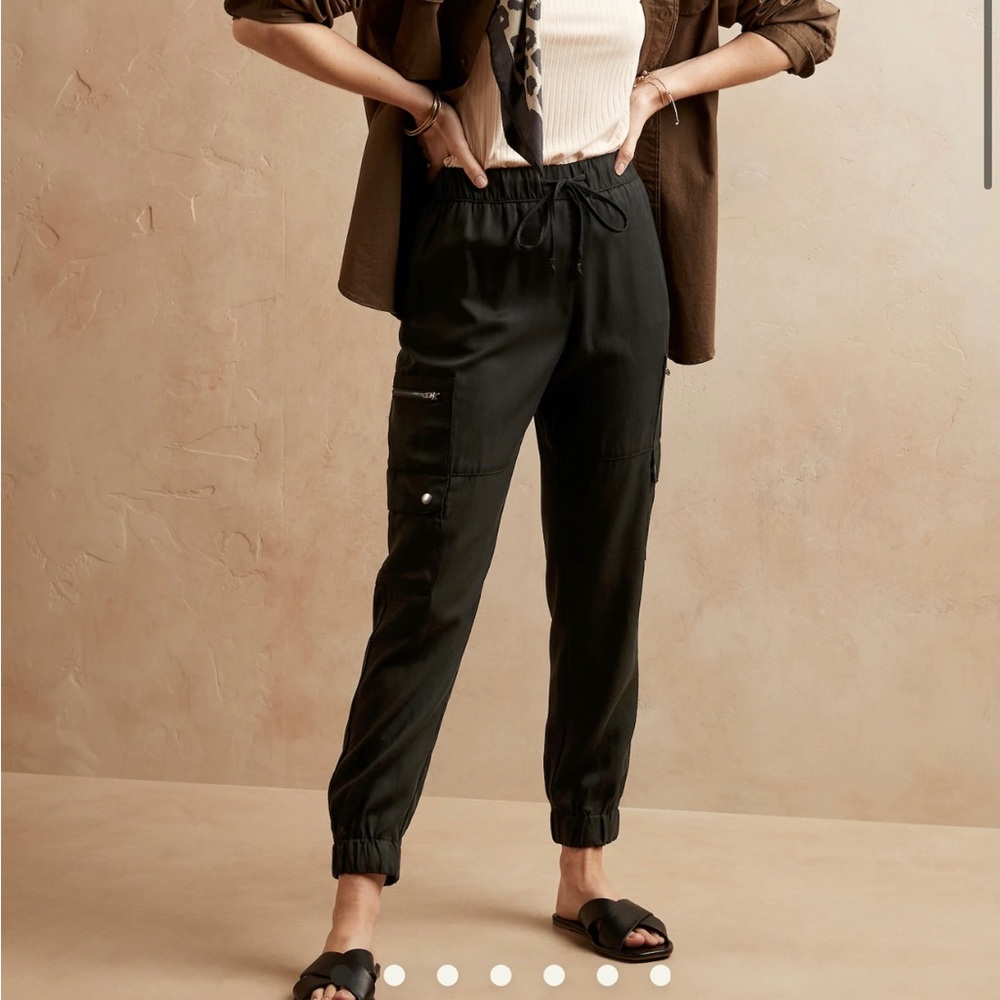 Banana Republic Tencel Jogger